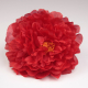 PEONIA ROJA