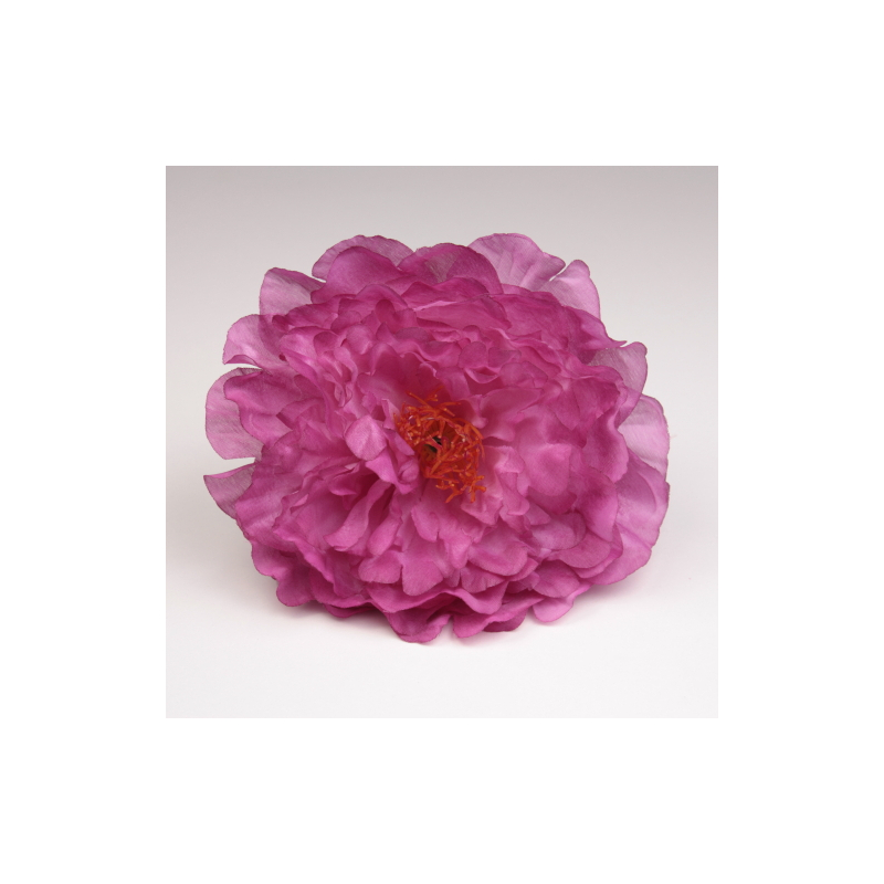 PEONIA CORAL