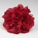 PEONIA ROJA