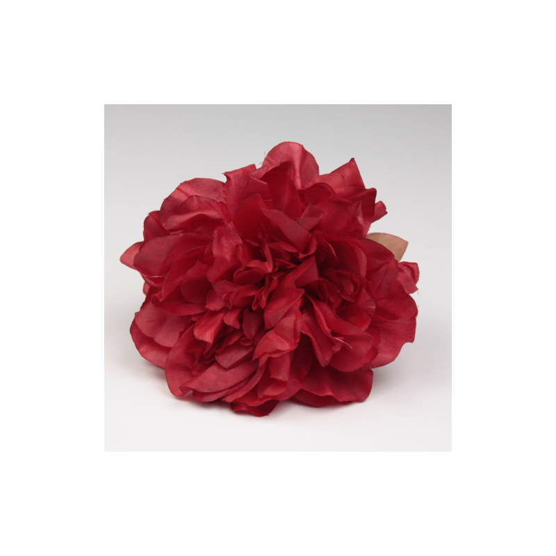 PEONIA CARDENAL