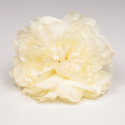 PEONIA MARFIL
