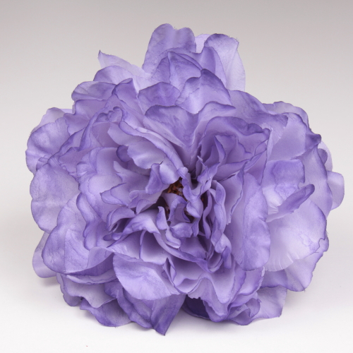 PEONIA MORADA