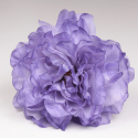 PEONIA MORADA
