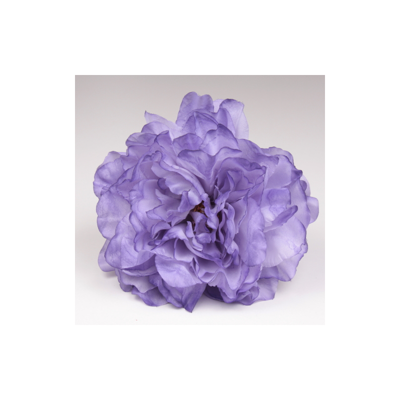 PEONIA MARFIL