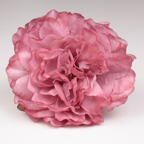PEONIA QUISQUILLA