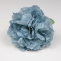 PEONIA DUCADO