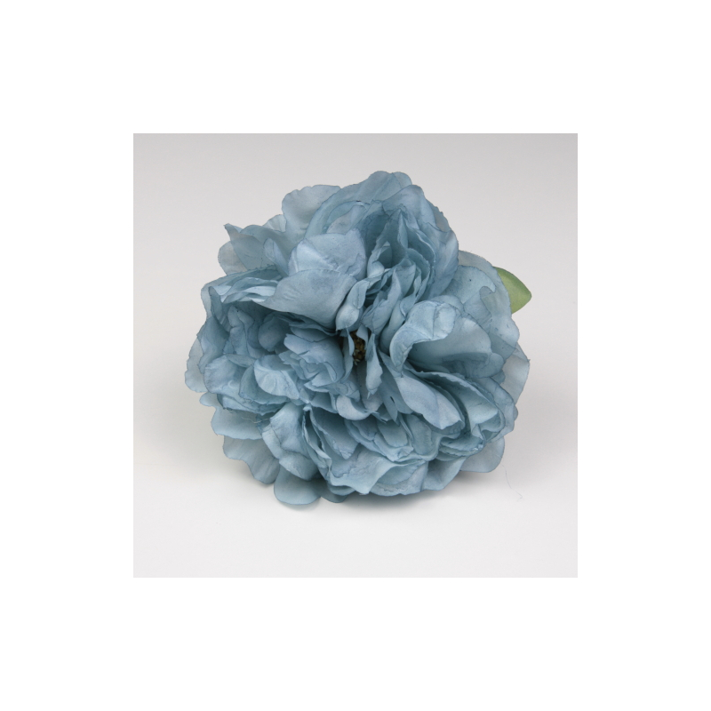 PEONIA CORAL