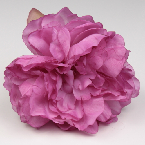PEONIA CARDENAL
