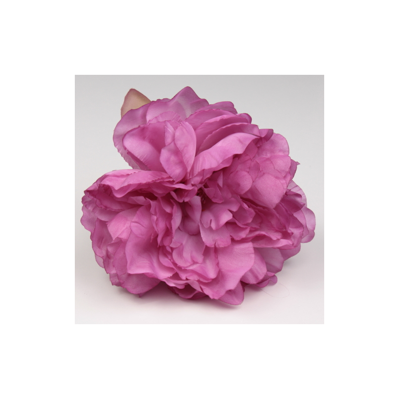 PEONIA DUCADO
