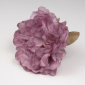 PEONIA ROSA