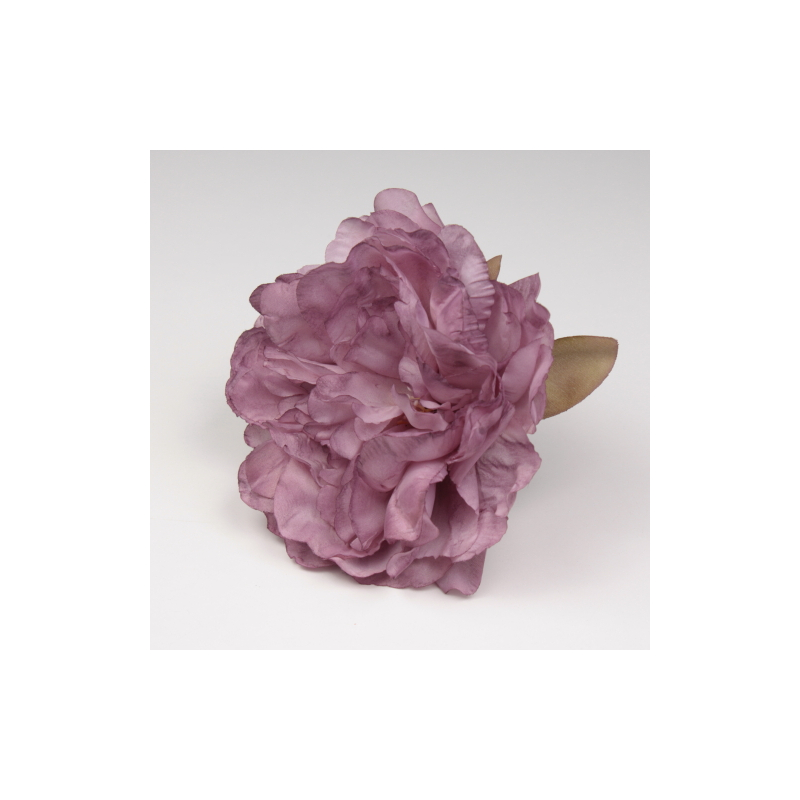 PEONIA CARDENAL