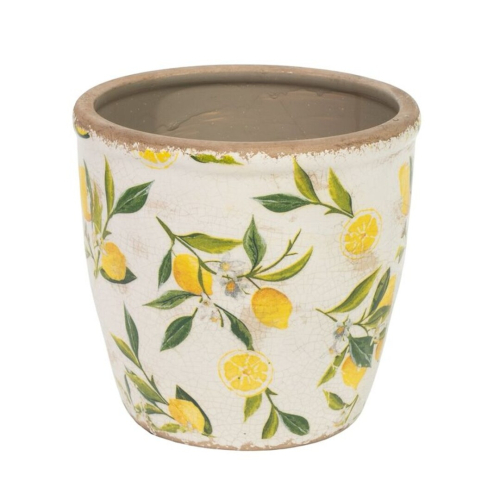 MACETERO PLANO L LIMONES