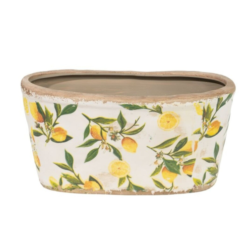 MACETERO OVAL L LIMONES