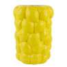 JARRON ALTO LIMONES